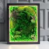 Tranh rêu trang trí 1 из мха Moss art